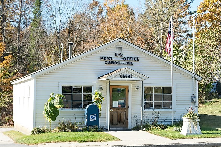 Sunflowers bloom in front of the Cabot, Vermont town post office.
