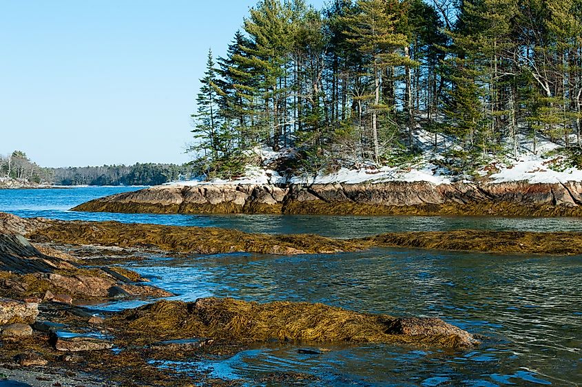 Wolfe's Neck State Park, Freeport, Maine.