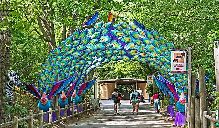 Display of Chinese style lanterns in the theme of wildlife at the Roger Williams Park Zoo,