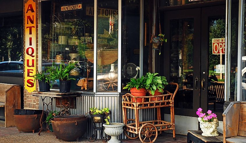 An antique store in Tunica, Mississippi also offers potted plants for sale