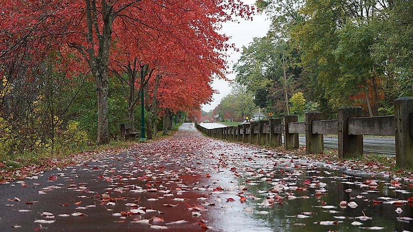 A path surrounded by fall foliage in Simsbury, Connecticut.