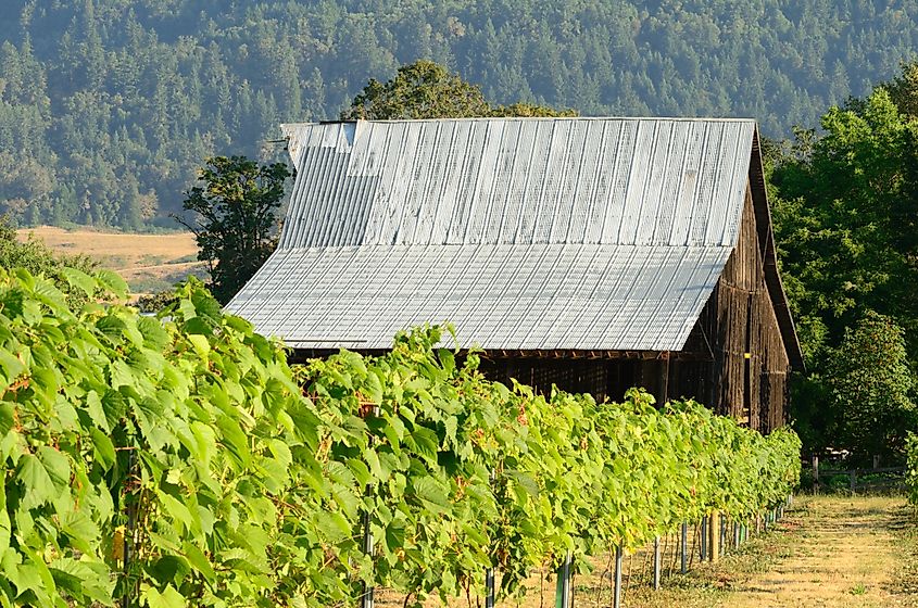Umpqua Valley winery near Roseburg, Oregon.