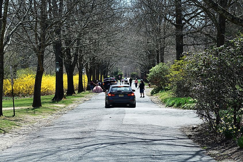 A road in Ringwood State Park, New Jersey.