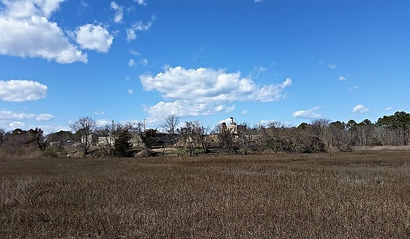 Delaware Seashore State Park, Thompson Island.