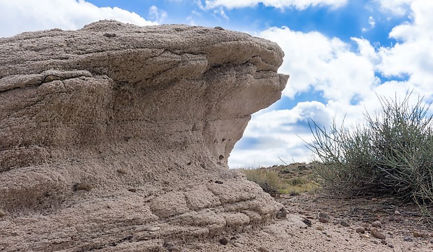 Weathered sandstone of the Chilne formatation in the Petrifiled Forest National Park, AZ.