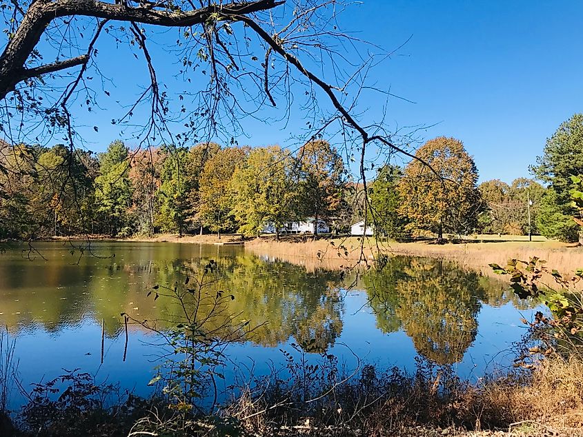 Lake in Hartselle, Alabama.