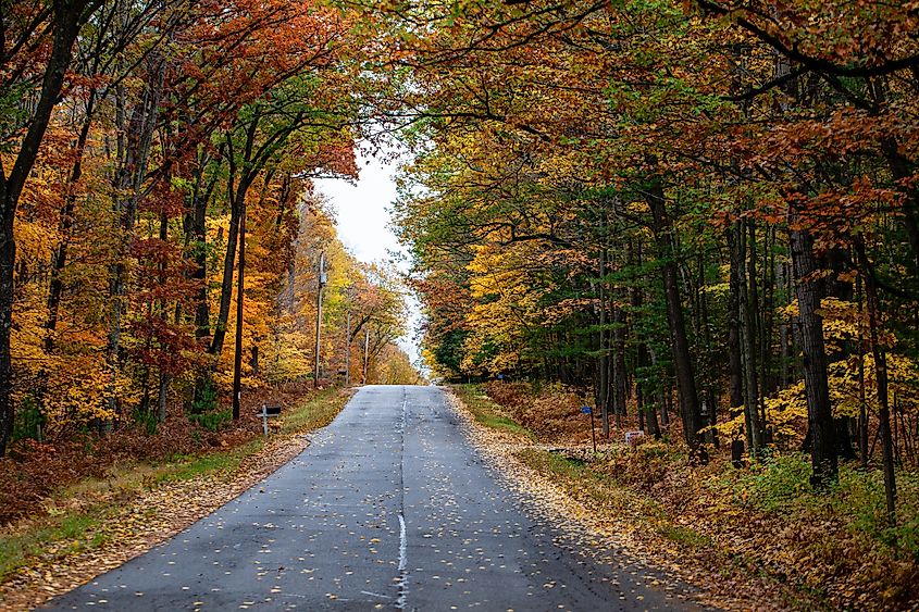 Fall foliage along a road in Wausau, Wisconsin.