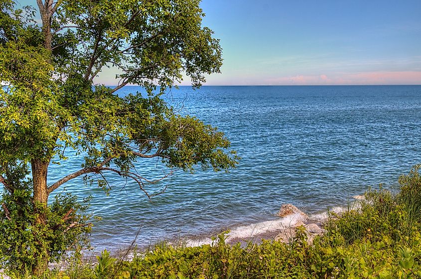 Illinois Beach State Park