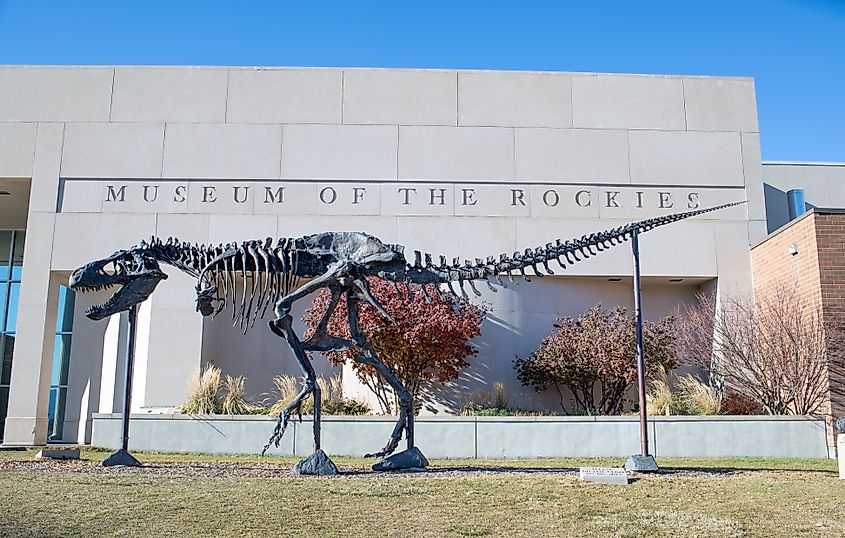 Museum of the Rockies in Bozeman