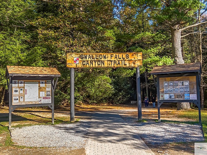 Swallow Falls State Park at Canyon Trail located in Oakland Maryland.