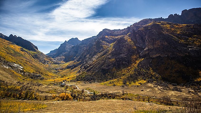 Vibrant fall colors in Lamoille Canyon, Nevada.