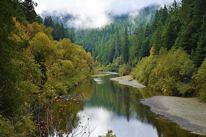 The picturesque Eel River flowing through the forested landscape.