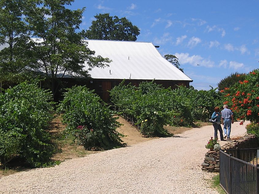 Winery in Plymouth, California