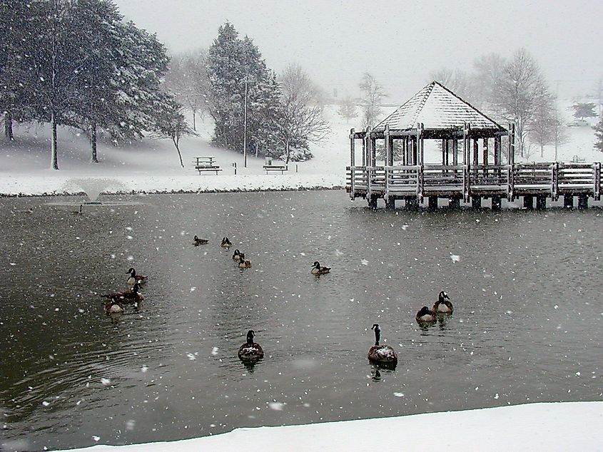 Vlasis Park in Ballwin, Missouri