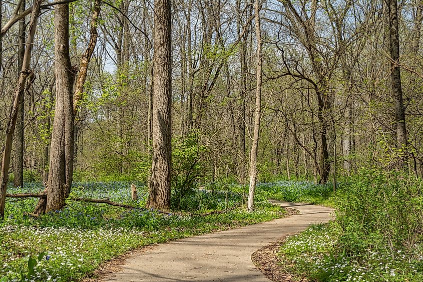 Hiking trails around the Franklin Creek State Nature Area in Franklin Grove, Illinois