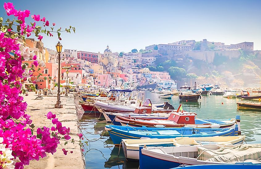 Boats in a marina in Procida, Italy.
