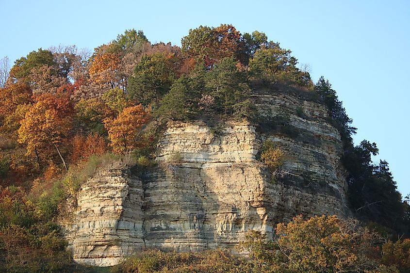 Sandstone bluff in Wisconsin's Driftless Area.