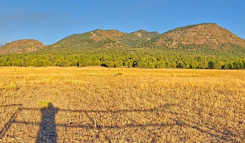 Bill Williams Mountain, Arizona