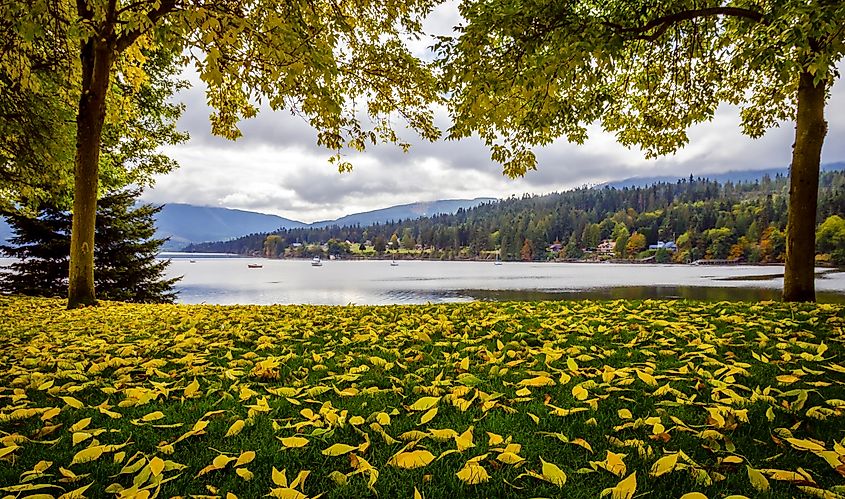 View taken in Sequim on the Coast of the Olympic Peninsula Washington state, USA.