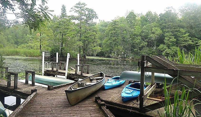 Empty Canoes Spread over Swamp Dock; Moncks Corner, South Carolina.