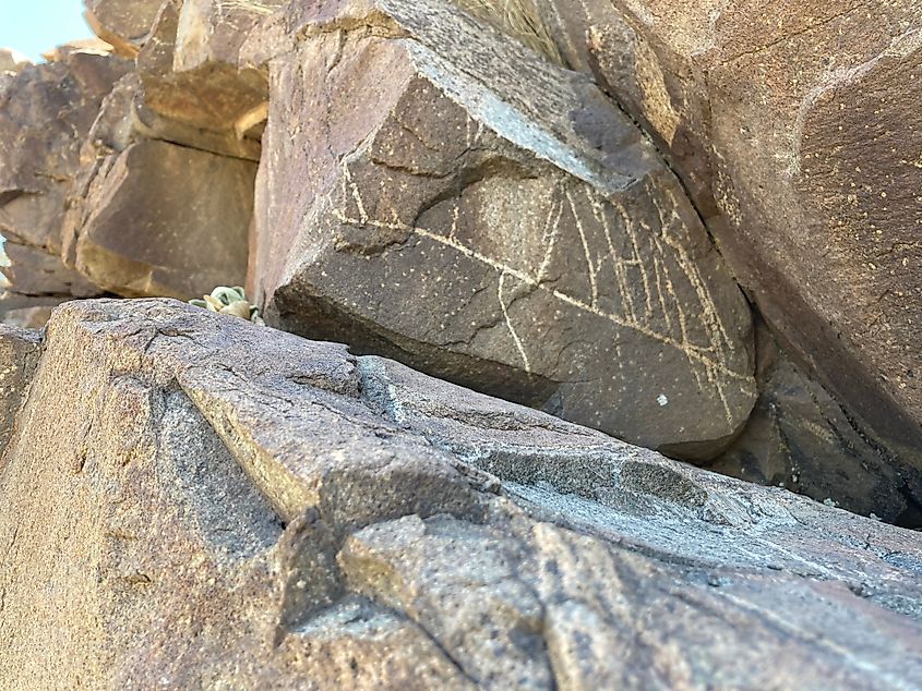 Dragonfly trail petroglyphs in New Mexico.