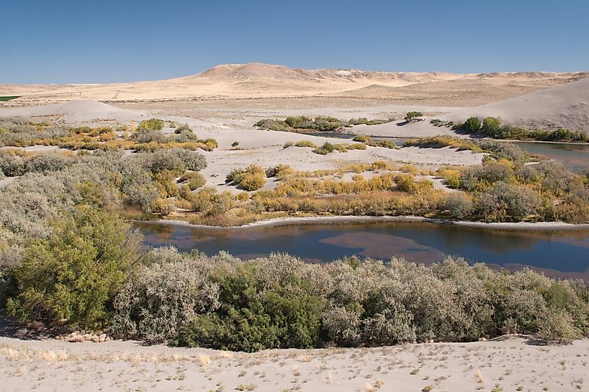 Bruneau Dunes State Park