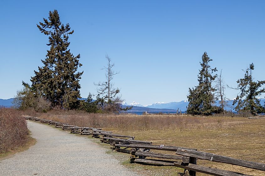 Walking path at Rathtrevor Beach Provincial Park.