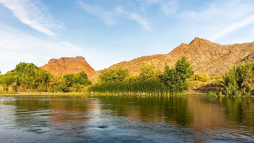 The Salt River flowing through the Tonto National Forest in Arizona.