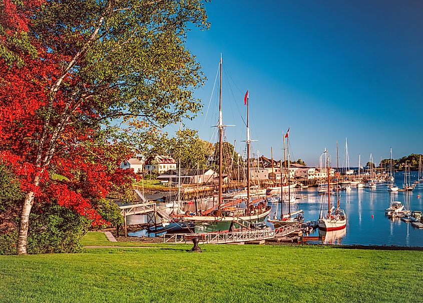 The harbor at Camden, Maine.