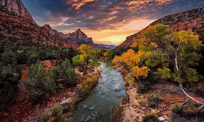 A stunning fall sunset over the Watchman in Zion Canyon, Zion National Park, Utah.