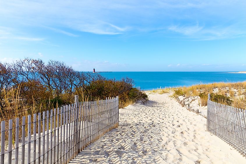 Cape Henlopen State Park.