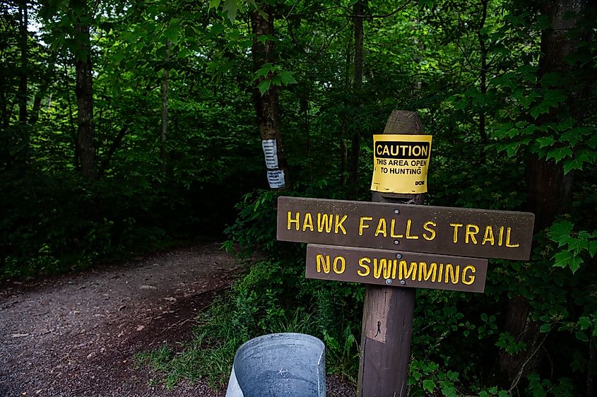 The Hawk Falls trail head in Hickory Run State Park in White Haven