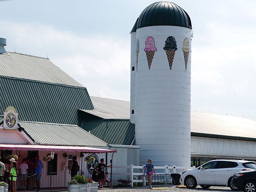 The famous Hopkins Farm Creamery with their delicious ice creams