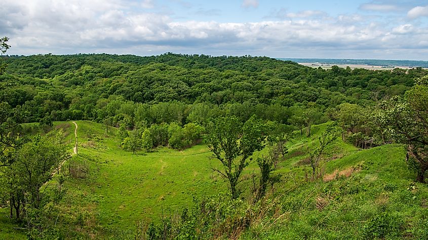 Fox Run Ridge Trail in Iowa.