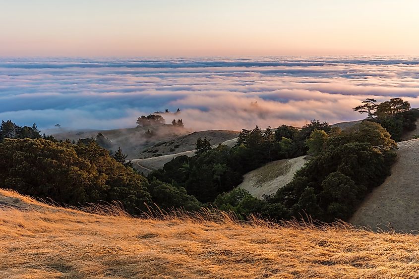 A stunning sunset over Mount Tamalpais