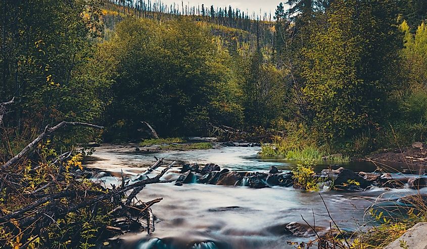 The scenic nature of Little Colorado River in Greer in the morning, Arizona