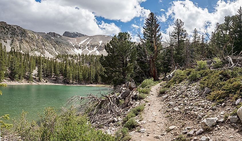 Theresa Lake, alpine lake in Great Basin National Park, Baker, Nevada