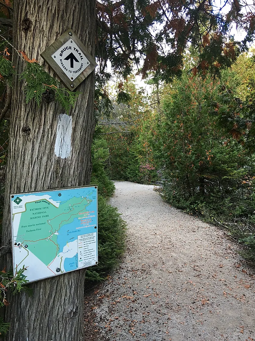 A white blaze and map on a tree next to a nature trail indicating marking the way for the Bruce Trail.