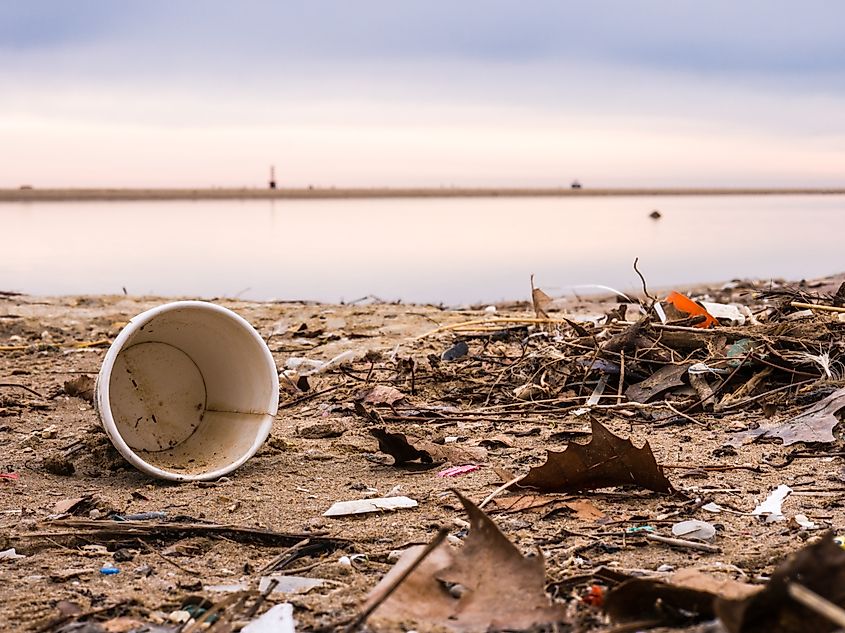 Littering along the shores of Lake Michigan.