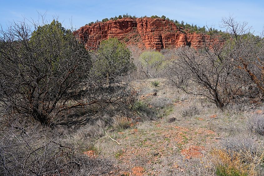 The wild landscape of the Red Rock State Park in Arizona.