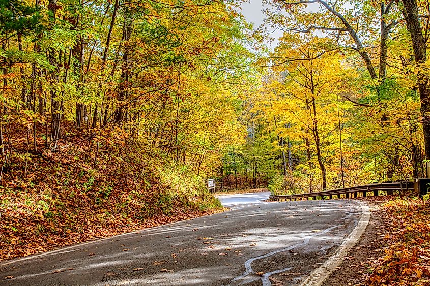 The M-119 Tunnel of Trees near Harbor Springs, Michigan.