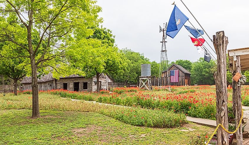 Castroville, Texas, Mohnblumen und historische Gebäude. Bildnachweis Emily Marie Wilson über Shutterstock