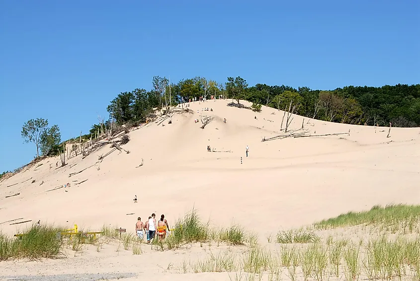 Summer visitors tackle one of the big shoreline sand dunes at Warren Dunes State Park, with wild grasses at the bottom and trees across the top.