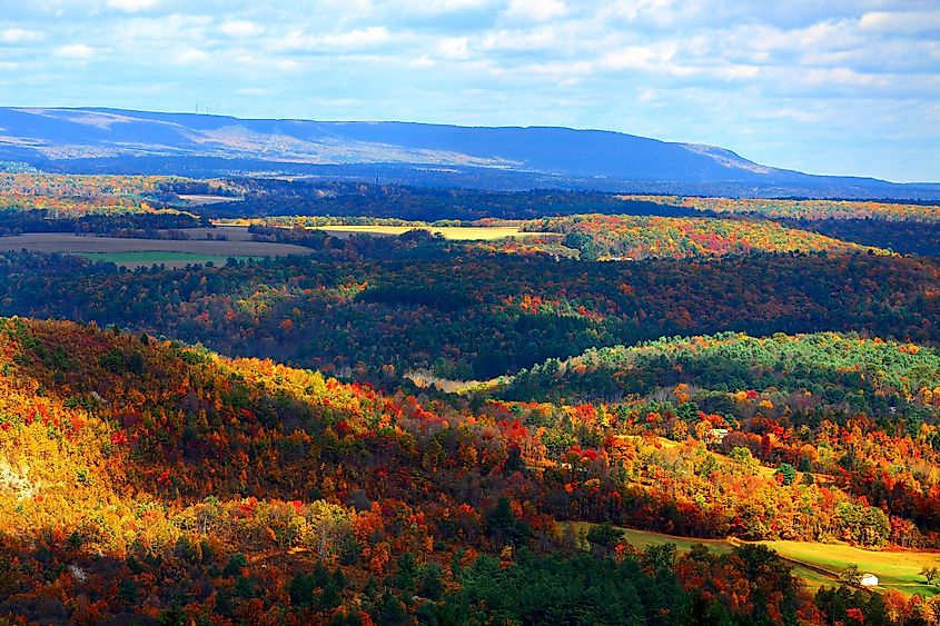 Colorful autumn foliage in the Blue Mountain Resort, Palmerton, Pennsylvania.