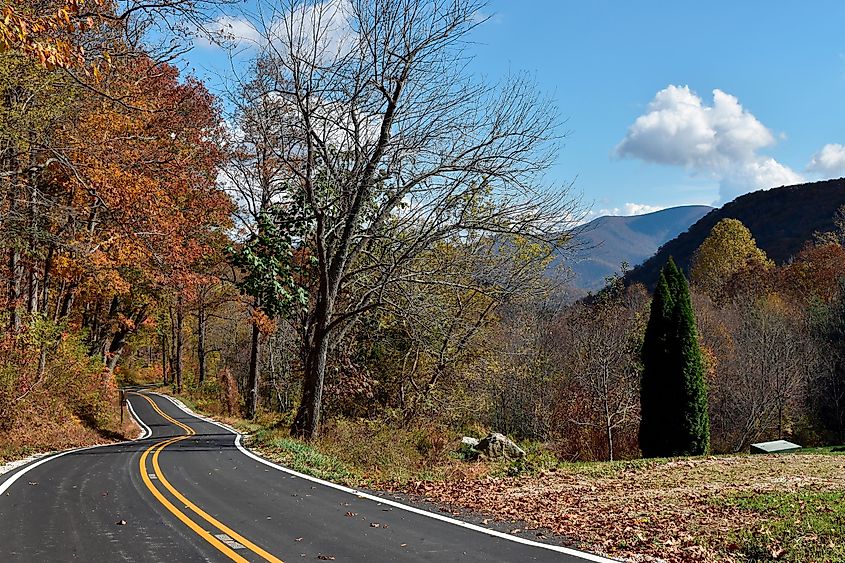 Country Road with Fall Colors near Crabtree Falls Park, Virginia