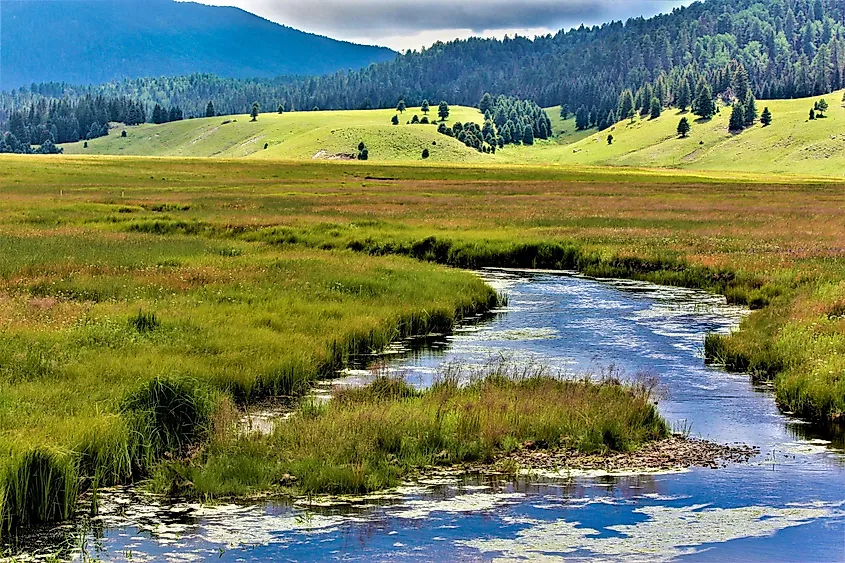 Valles Caldera National Preserve