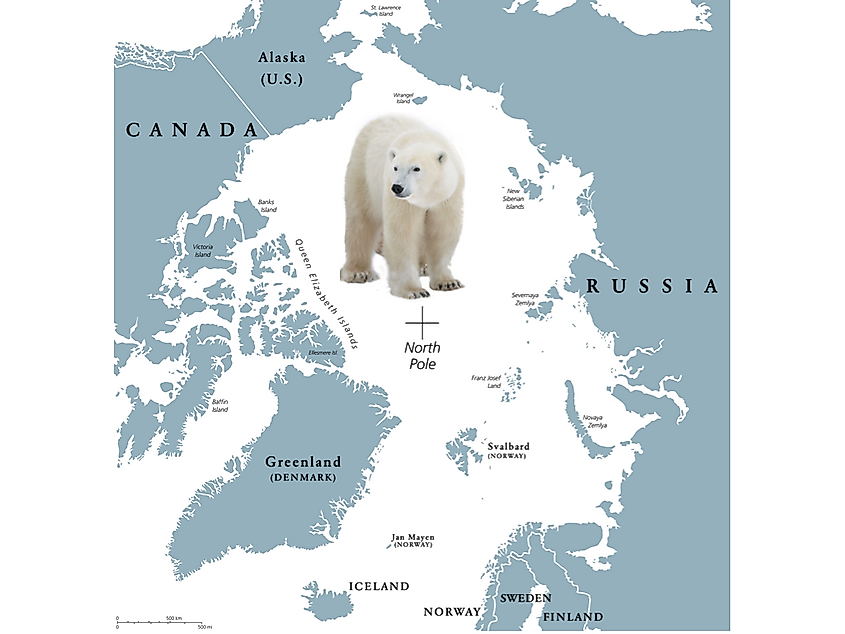 Where Do Polar Bears Live WorldAtlas