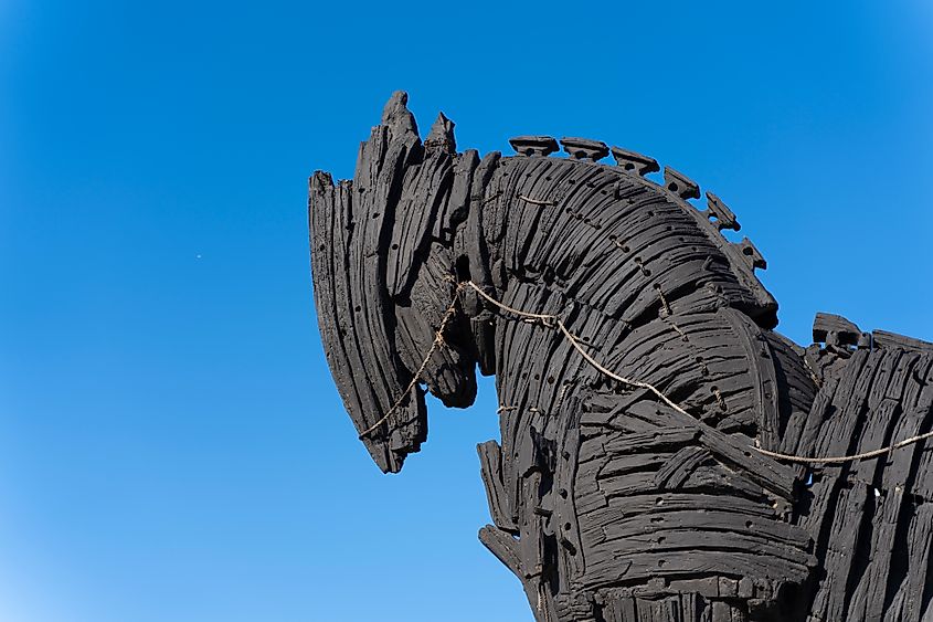 A model of the Trojan Horse in Turkiye