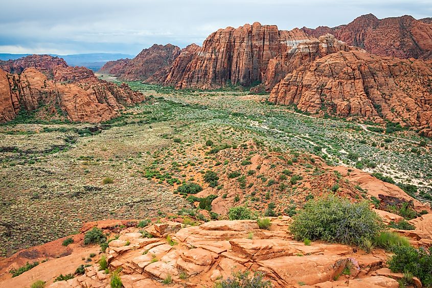 Snow Canyon State Park in Utah, located within the Red Cliffs Desert Reserve.