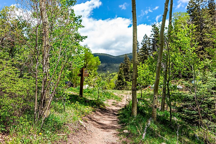 Santa Fe National Forest park trail with sign entrance at trailhead Sangre de Cristo mountains.